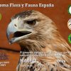EAFF_010