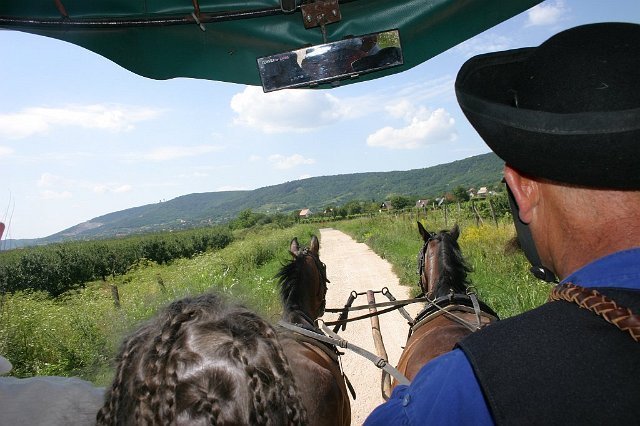 Siklós 2008 - Bagolyköri találkozó