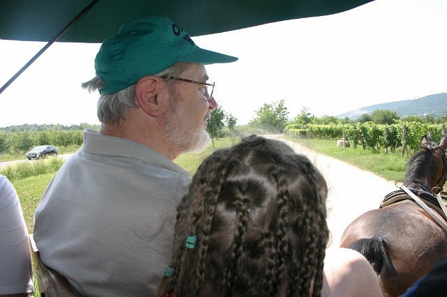 Siklós 2008 - Bagolyköri találkozó