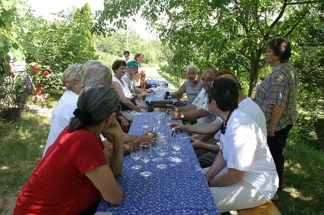 Siklós 2008 - Bagolyköri találkozó