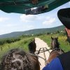 Siklós 2008 - Bagolyköri találkozó
