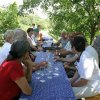 Siklós 2008 - Bagolyköri találkozó