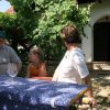 Siklós 2008 - Bagolyköri találkozó