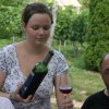 Siklós 2008 - Bagolyköri találkozó
