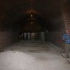 Siklós 2008 - Bagolyköri találkozó