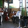 Siklós 2008 - Bagolyköri találkozó