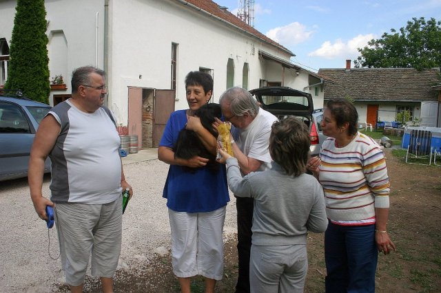 Siklós 2010 - Bagolyköri találkozó