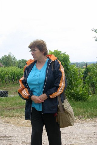 Siklós 2010 - Bagolyköri találkozó