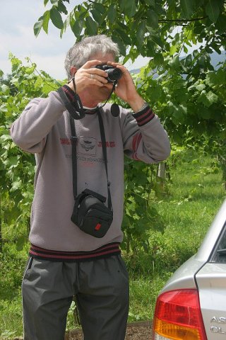 Siklós 2010 - Bagolyköri találkozó