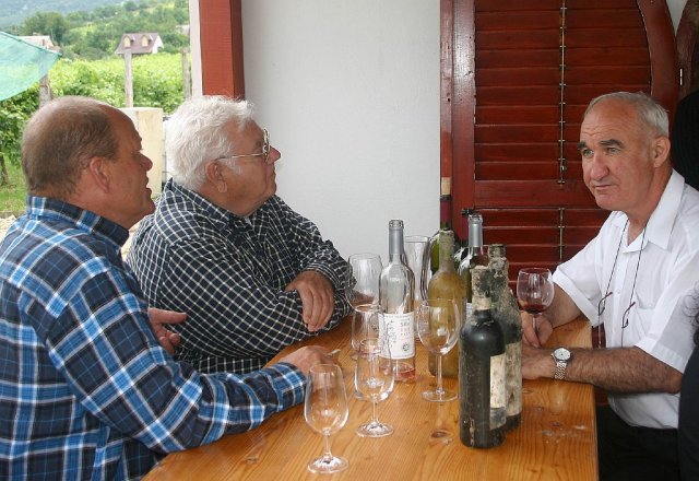 Siklós 2010 - Bagolyköri találkozó